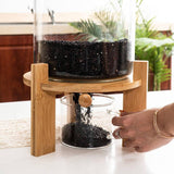 Beautiful Design Rice Dispenser, an Elegant Glass Made Rice, Grain Dispenser - EsaaThings